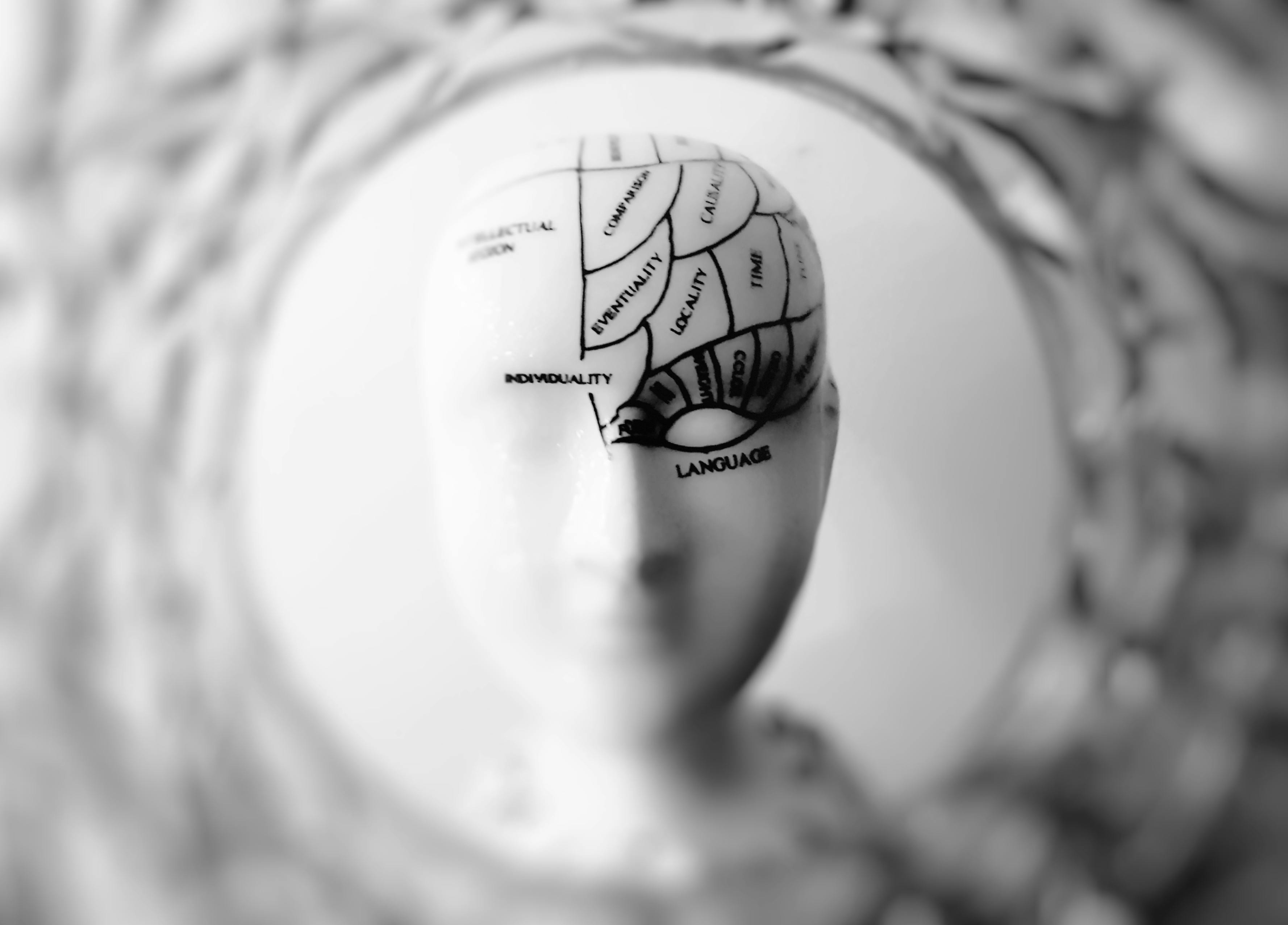 Cerebro del Caso de OXIUM